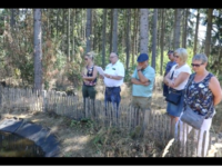 Reference for poetry walk in a natural park organized by Limburgs Landschap vzw in Hengelhoef. The video of the activity can be seen here. https://youtu.be/JbAehMzPMtY